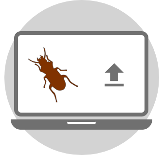 Auf die Platform hochladen